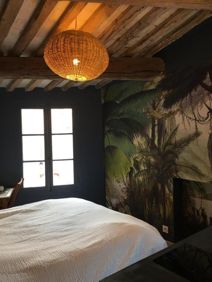 Cosy A 10 Metres Du Port De Appartement